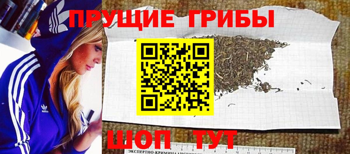 Галлюциногенные грибы прущие грибы Братск
