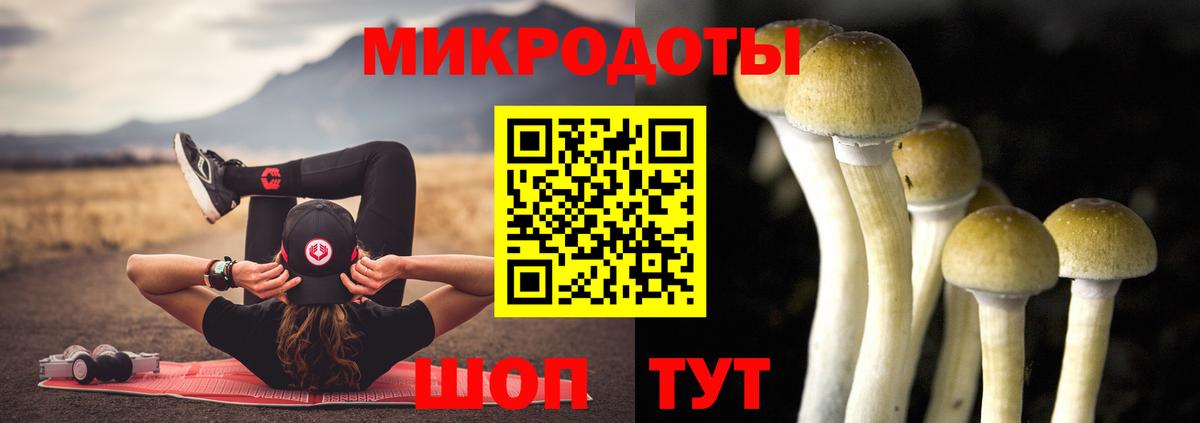 Псилоцибиновые грибы Psilocybine cubensis  Вход с VPN  где найти   Братск 